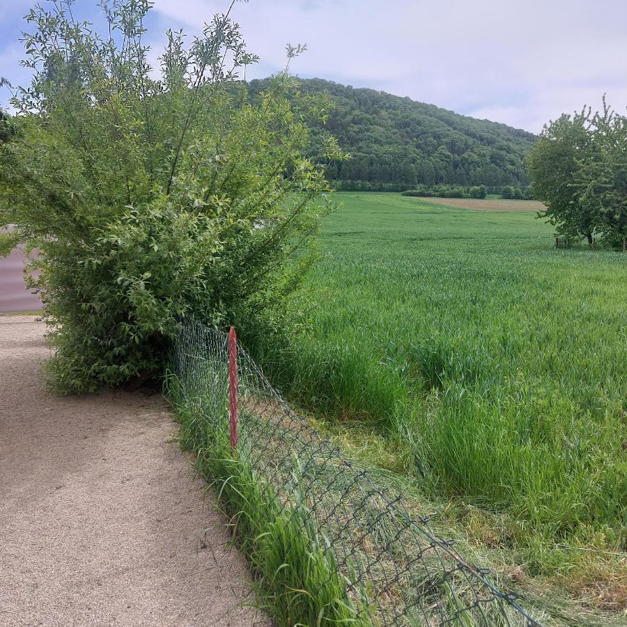 Ferienwohnung Rudat Тройхтлинген Екстериор снимка